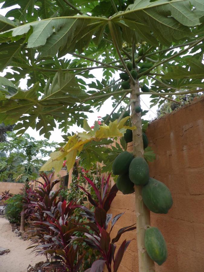 Pombo Kunda Vila Sanyang Exterior foto